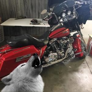 Meet your Posher, Jamie